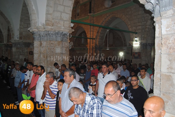 qerm ramla 3ed (28).JPG